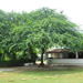 Tamarind Garden